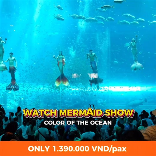 🔥 1-DAY VINWONDERS & GRAND WORLD COMBO - ONLY 1,390,000 VND WITH PHU QUOC PASSPORT This all-in-one experience package - Phu Quoc Passport offers a perfectly curated journey, combining unlimited entertainment with premium dining at two of the hottest destinations in Phu Quoc. Suggested itinerary for a full-day experience: 📍 Unlimited fun at VinWonders Phu Quoc ◾ Explore Vietnam’s largest theme park, featuring a wide range of world-class attractions, check in at the world’s largest turtle-shaped