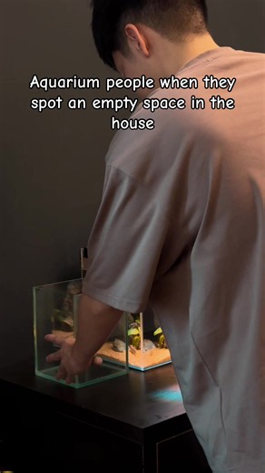 Aquarium People When They Spot an Empty Space in the House