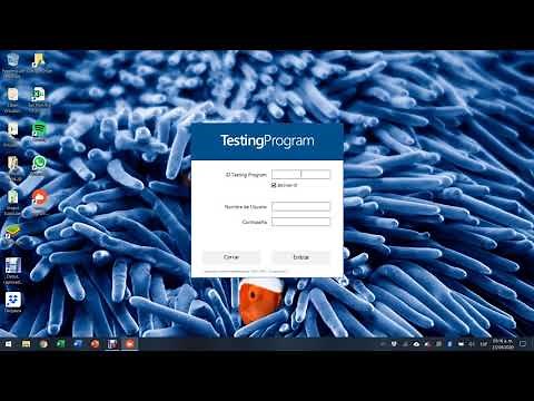 Instalación Testing Program 2020