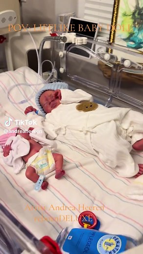 Lifelike Baby Dolls by Artist Andrea Heeren