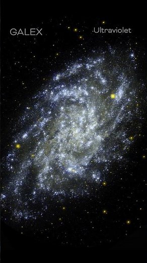 M33 Like You’ve Never Seen It Before 🌌 Multiwavelength Look at a Spiral Galaxy Marvel #ourgalaxy83