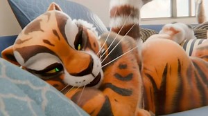 大虎妞 好调皮啊~（Canadian1579）