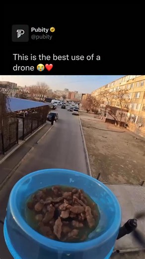 Pubity on Instagram: "😭 Cat mothers are so caring because their brains and bodies are literally built for it. After giving birth, hormones like oxytocin and prolactin ramp up, making her strongly motivated to stay close, nurse, groom, and protect her kittens. Since newborn kittens are blind, helpless, and can’t regulate their own body temperature, a mother cat’s warmth, licking, and guidance are essential for survival, so evolution rewarded the moms who were most attentive. That’s why you’ll se