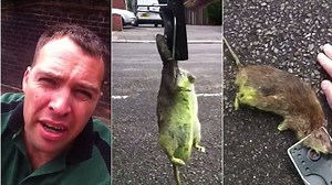 Pest control officer catches foot-long giant rat in London