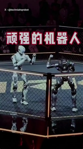 Two full-size humanoid robots are fighting inside a URKL cage in Shenzhen. The white and dark machines are EngineAI T800 robots, the standard platform for Ultimate Robot Knock-out Legend. Each team works from the same robot body and develops its control software, tactics and protective hardware. The T800 stands 173 centimeters tall. EngineAI lists up to 29 body degrees of freedom, 450 newton-meters of maximum joint torque and hardware movement speeds of at least three meters per second. In the v