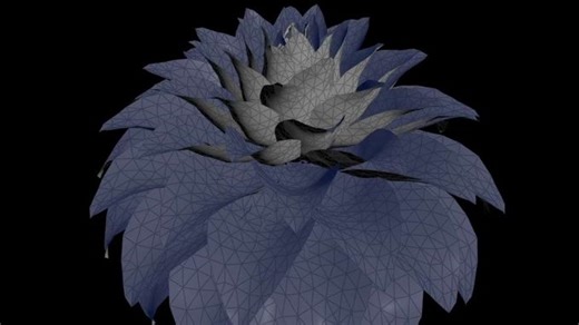 Houdini Tutorial _ Blooming Flowers _ Node Layout _ Part 3.5