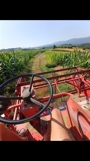 filippetronijevic3 (@filippetronijevic3)’s videos with Care Care - Live - Jovan Perisic & Grand Production