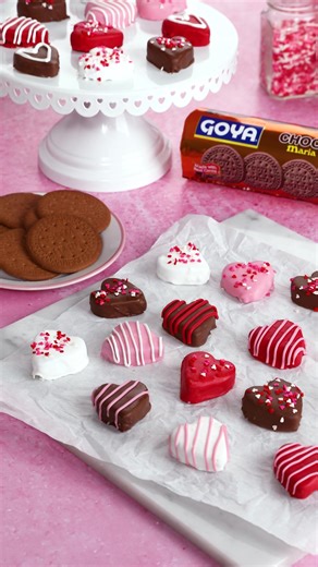 Delicious GOYA® Chocolate Maria Cookies for Family Treats