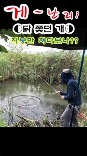 붕어없고 ♤참게가 난리♤#낚시#수로낚시 #참게#붕어낚시#영종수로