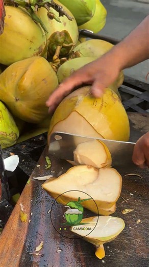 Coconut Cutting Techniques & Tips The Ultimate Guide
