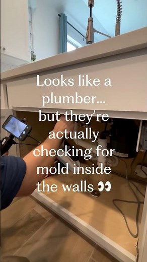 The Truth About Mold in Homes (and What to Do)