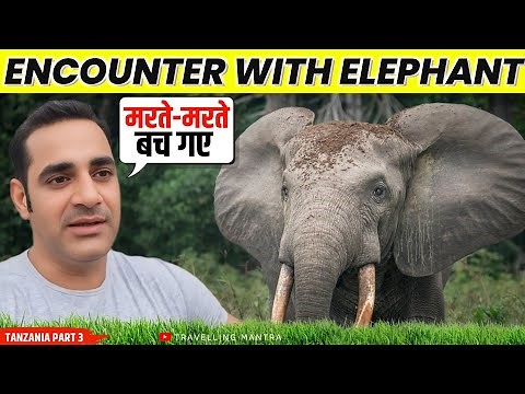 Serengeti : An Unbelievable Experience || Lion, Elephant & Adventure