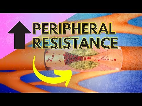 Regulating Peripheral Resistance - Part 1