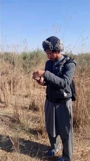 Bird Hunting# Bird hunting with Net# Net hunting#