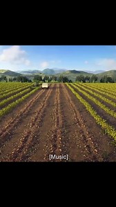 #khmercartoon #cartoon #SpeakKhmer | Cartoons 4K