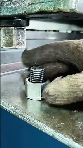 Mechanical nuts always coming loose? ‌You can use anti-loosening nuts. #Machinery #Railway #Nut