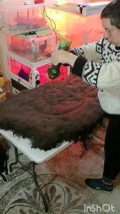Wet felting sheep fleece into rug is pretty basic thing. All it takes wool, soap, water and A LOT your time, patience and dedication. #wool #sheep #diy #homemade #handmade #rug #felting #wetfelting | Welsh cottage by Zina