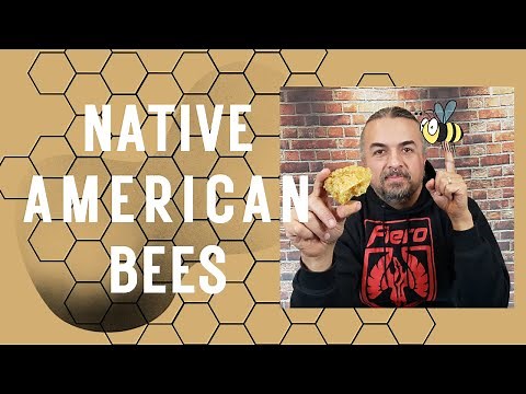 Did Native Americans Use Beeswax?