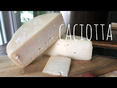 Caciotta- How to make this pressed, fast-aging cheese at home
