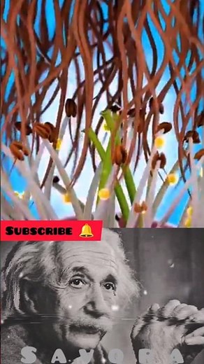 Sigma physics 🧠🗿#shorts #sigmaphysics #physics