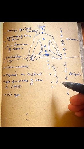 PRASHANT JAKHMOLA (YouTube- @prashantjyoga) on Instagram: "Energetically impact on consuming non-veg The journey of human evolution begins at the mooladhar and ascends through the upper Chakras, granting us the profound awareness of time and space. This awareness liberates us from the constraints of nature, empowering us to make decisions that shape our lives. It is through this process that we discover our true identity. In contrast, the evolution of animals remains rooted at the mooladhara lev
