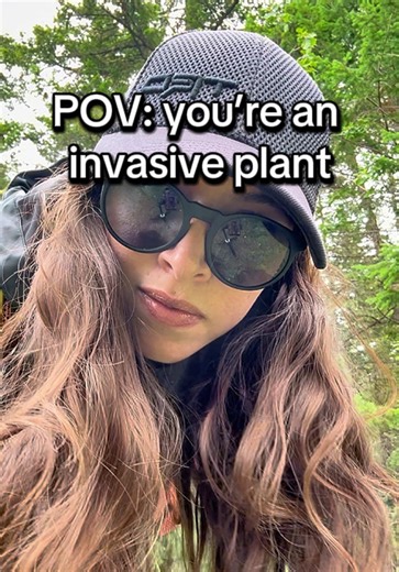 Understanding Invasive Plants in Nature's Ecosystem