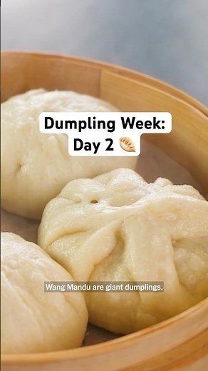 Eric’s Wang Mandu (King Dumplings) #dumplingweek #dumplings #lunarnewyear