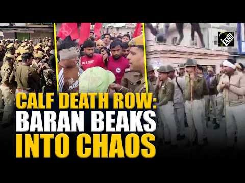 Police- Protesters clash as Baran descends into chaos as tensions simmer over ‘calf slaughter’