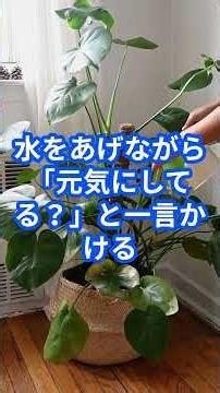「植物に名前をつける」だけで孤独感が消え脳が安定する