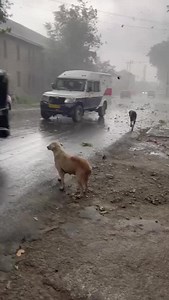 Today's Live Video from Bemina | South kashmir Viral Kashmir