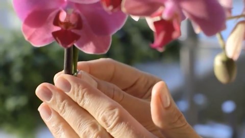 Hydrotech 25 ft. x 5/8 in. Hybrid Polymer Rubber Super-Lite Garden Hose - Force Control Technology, Lightweight, Anti-Kink Hose HT130C4