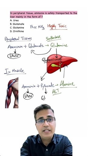 Ammonia transport Biochemistry | #biochemistry #medicalbiochemistry #mbbs #biology