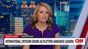 Rebels in Niger suspend constitution, install new leader