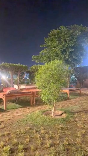 Exploring Multan: A Glimpse into Punjabi Desi Culture