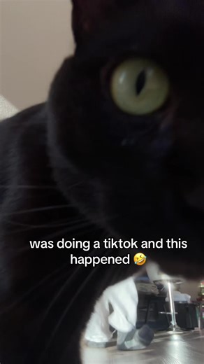 Mariah (@yomariahh2)’s video of tiktok dances