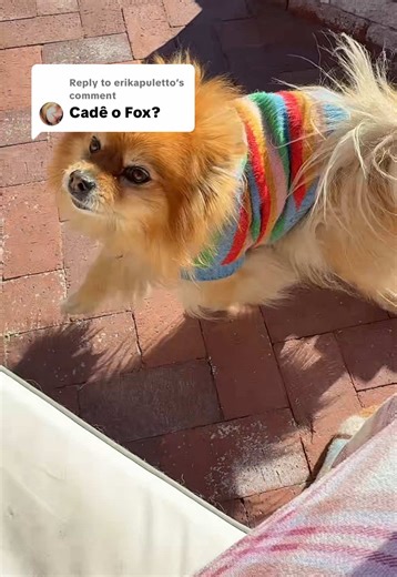 Replying to @erikapuletto | fox videos