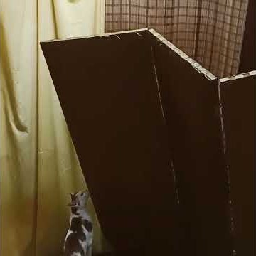 9/4おつとりしてみえて…案外エキセントリックなMちゃん4ヶ月