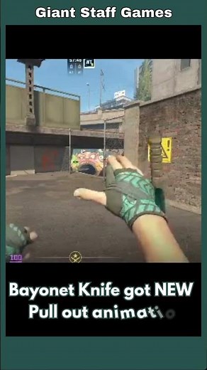Bayonet Knife new animation