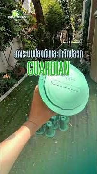 Termite extermination service using a bait system. No chemical spraying, no drilling. Money back ...