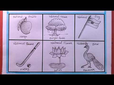 How To Draw National Symbols Of India Step By Step/National Symbols Drawing