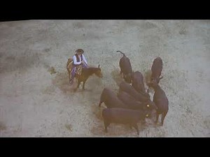 Ron Gill and Curt Pate - Stockmanship - Handling Cattle in a Bud box at NCBA 2019