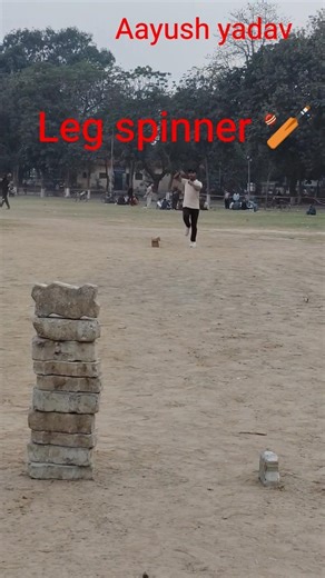 18 February 2026 Leg spinner#music #cricket #phonk #cricket lover #phonk music #bowling