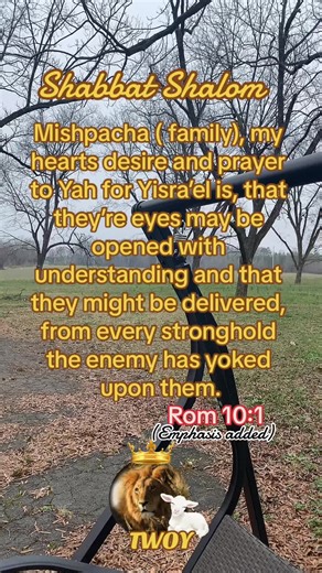 Sabbath Prayer. May Yah Bless Yisrael With Deliverance. #twoy #thewayofYah #shabbatprayer #PrayYah #forYisrael