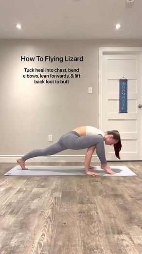 How To Flying Lizard