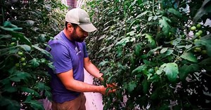 Hamilton and 80 Acres Farms near deal for more expansion at the indoor growing company