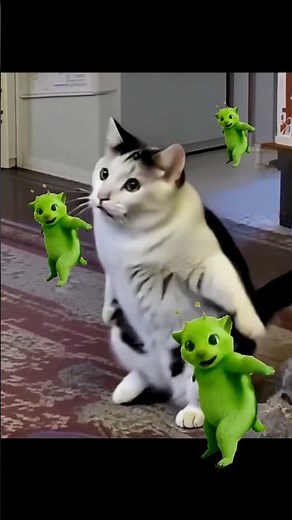 Green Alien Cat Meme Dance #viral #greenaliendance #shorts #catmemesfunny #catdance