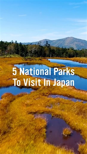 5 Scenic National Parks in Japan 🇯🇵 #japan #hiddengems
