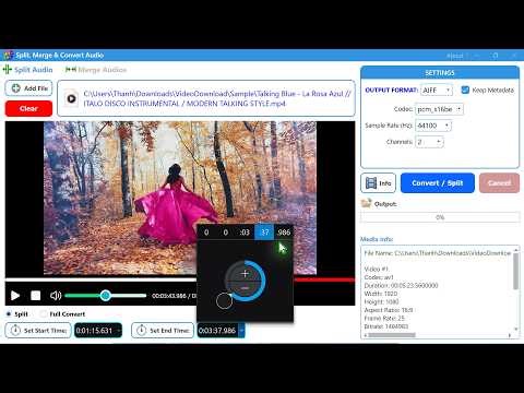 Download Split, Merge & Convert Audio