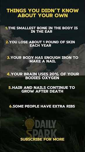 🔍 Things You Didn’t Know About Yourself! Mind-Blowing Secrets Revealed ✨