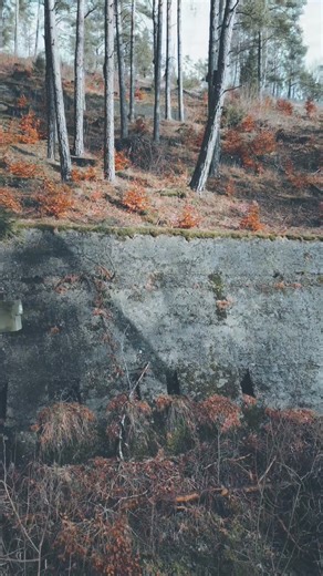 156K views · 1.4K reactions | The German Stadium – Albert Speer’s...